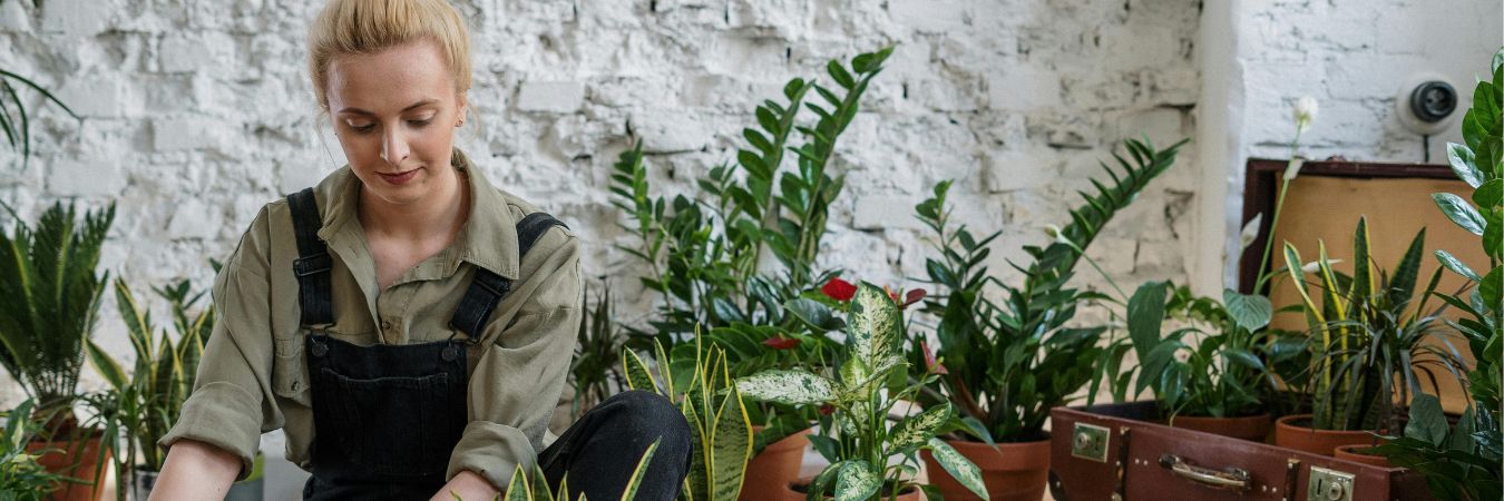 Coastal Master Gardener Association
