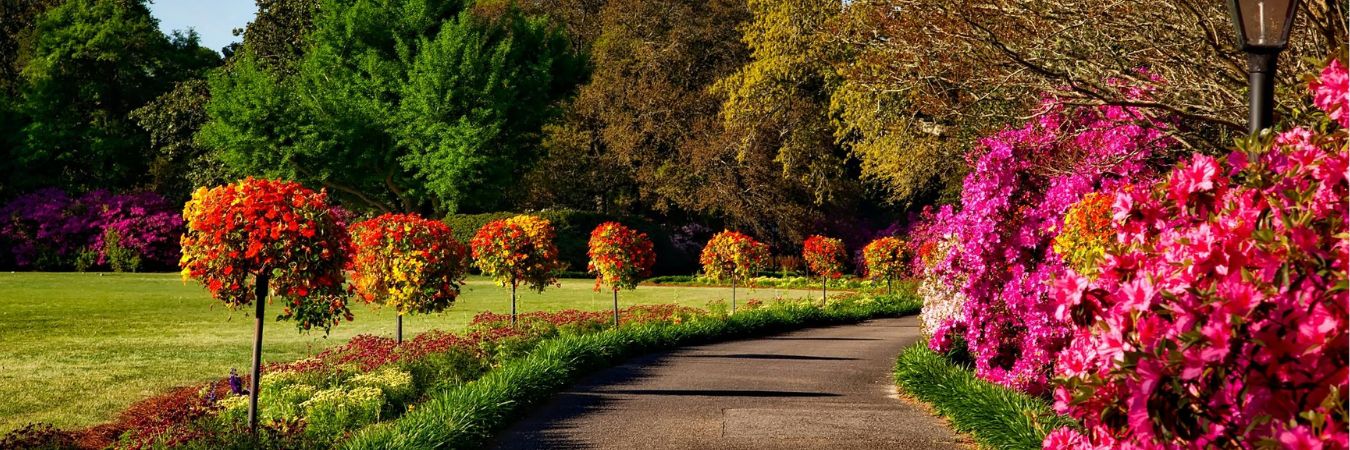 Castle Bromwich Hall and Gardens Trust